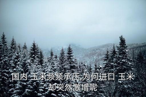 國內 玉米頻頻承壓,為何進口 玉米卻突然激增呢