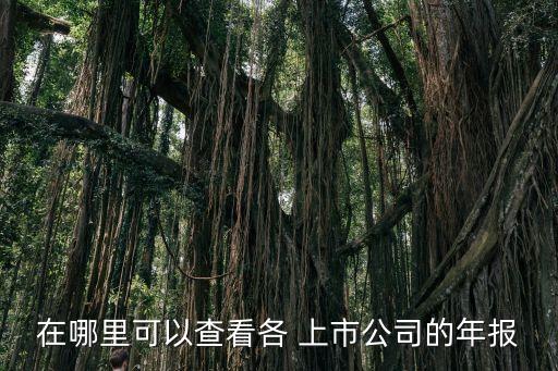 中國上市企業(yè)點(diǎn)評網(wǎng)網(wǎng)址