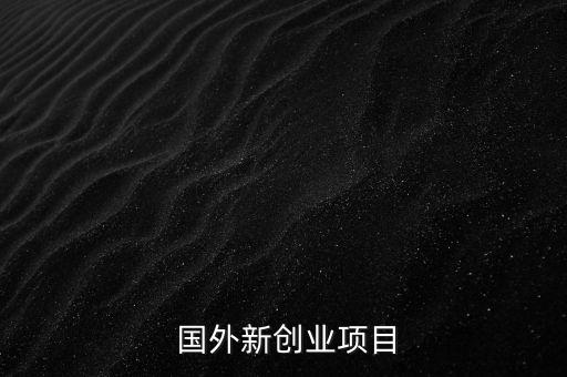  國外新創(chuàng)業(yè)項(xiàng)目