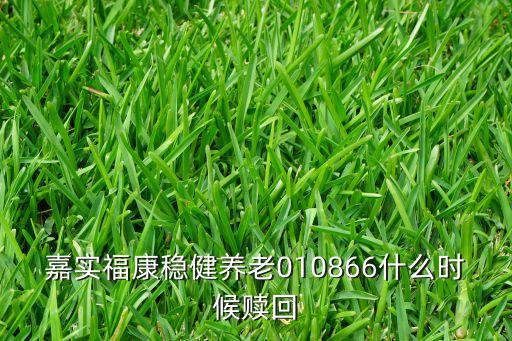嘉實(shí)?？捣€(wěn)健養(yǎng)老010866什么時(shí)候贖回