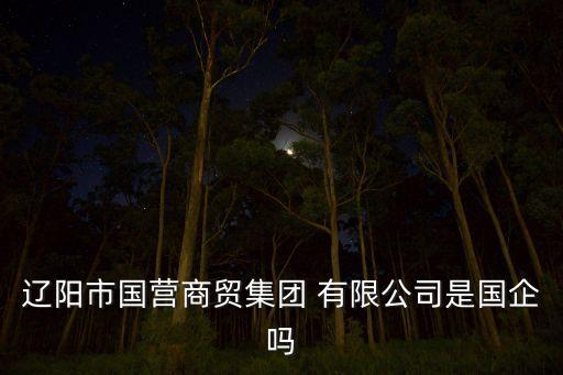 遼陽市國營商貿(mào)集團(tuán) 有限公司是國企嗎
