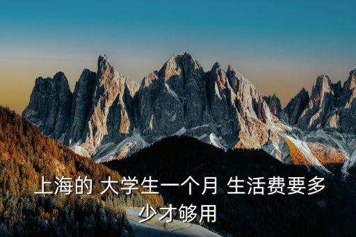  上海的 大學(xué)生一個月 生活費要多少才夠用