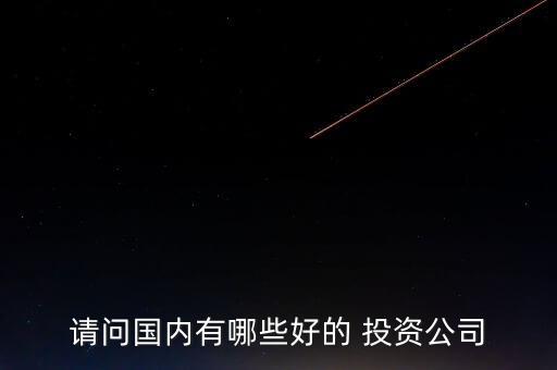 請(qǐng)問(wèn)國(guó)內(nèi)有哪些好的 投資公司