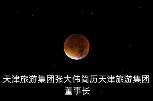 天津旅游集團張大偉簡歷天津旅游集團 董事長
