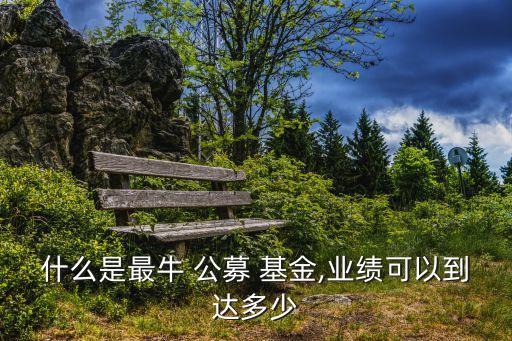 什么是最牛 公募 基金,業(yè)績可以到達(dá)多少