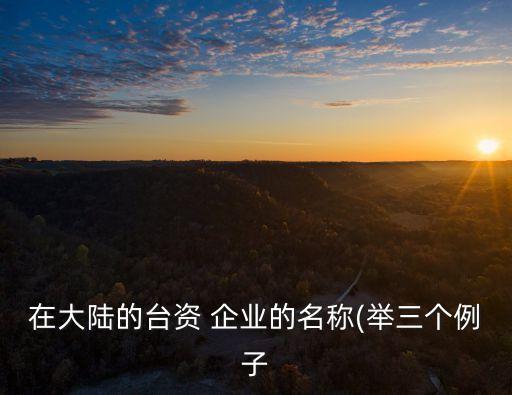 在大陸的臺(tái)資 企業(yè)的名稱(chēng)(舉三個(gè)例子