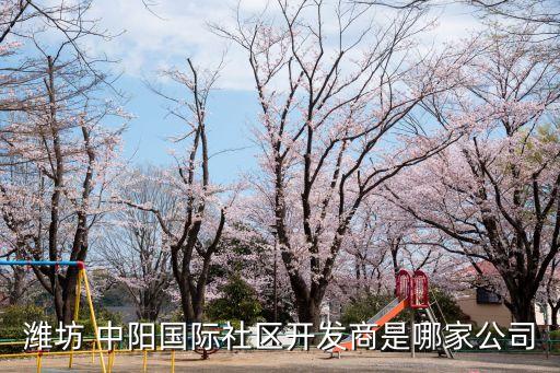 濰坊 中陽(yáng)國(guó)際社區(qū)開發(fā)商是哪家公司