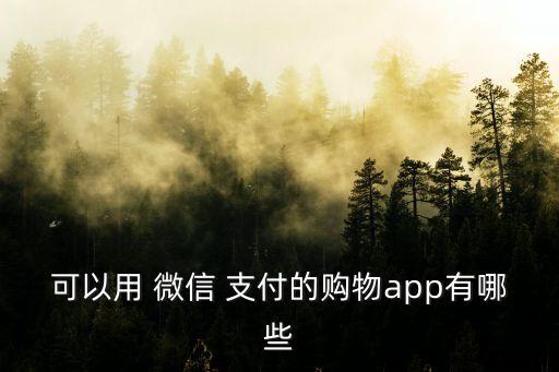 可以用 微信 支付的購物app有哪些