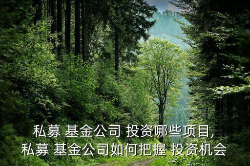  私募 基金公司 投資哪些項目, 私募 基金公司如何把握 投資機(jī)會