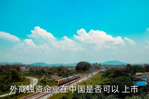 外商獨資企業(yè)在中國是否可以 上市