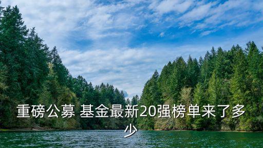 重磅公募 基金最新20強(qiáng)榜單來(lái)了多少