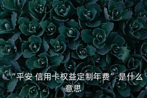 建設(shè)銀行曼聯(lián)信用卡申請(qǐng),申請(qǐng)建設(shè)銀行信用卡需要什么條件