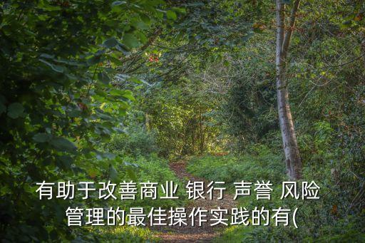 有助于改善商業(yè) 銀行 聲譽(yù) 風(fēng)險(xiǎn) 管理的最佳操作實(shí)踐的有(