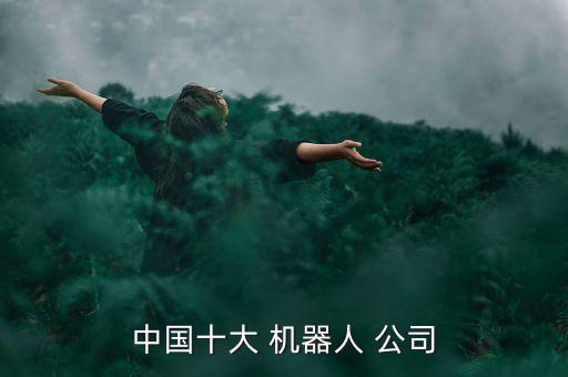 中國十大 機(jī)器人 公司