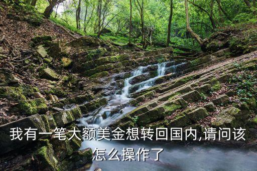 我有一筆大額美金想轉(zhuǎn)回國(guó)內(nèi),請(qǐng)問(wèn)該怎么操作了
