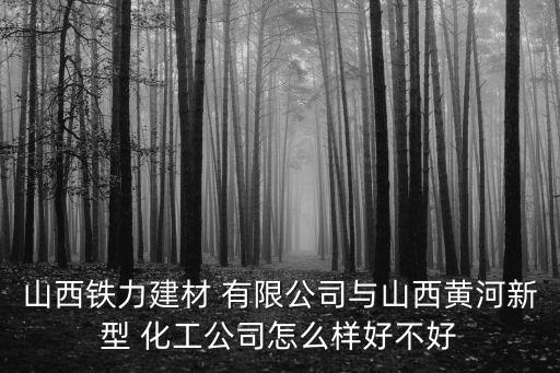 山西鐵力建材 有限公司與山西黃河新型 化工公司怎么樣好不好