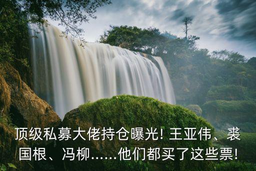 頂級私募大佬持倉曝光! 王亞偉、裘國根、馮柳……他們都買了這些票!