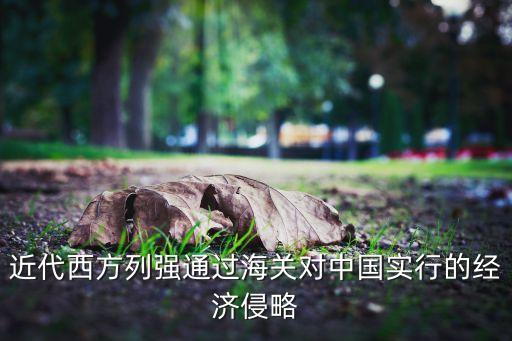 近代西方列強(qiáng)通過海關(guān)對(duì)中國實(shí)行的經(jīng)濟(jì)侵略