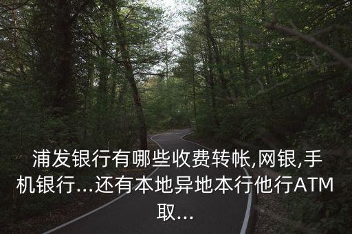  浦發(fā)銀行有哪些收費轉(zhuǎn)帳,網(wǎng)銀,手機(jī)銀行…還有本地異地本行他行ATM取...
