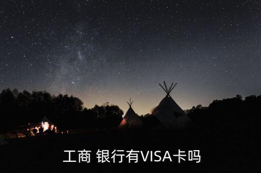  工商 銀行有VISA卡嗎