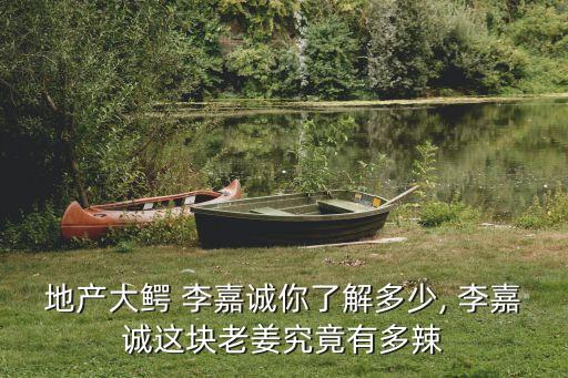 地產(chǎn)大鱷 李嘉誠你了解多少, 李嘉誠這塊老姜究竟有多辣