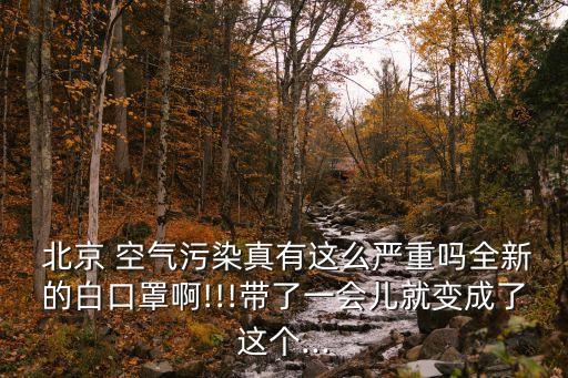 北京的空氣污染到達(dá)什么樣的程度