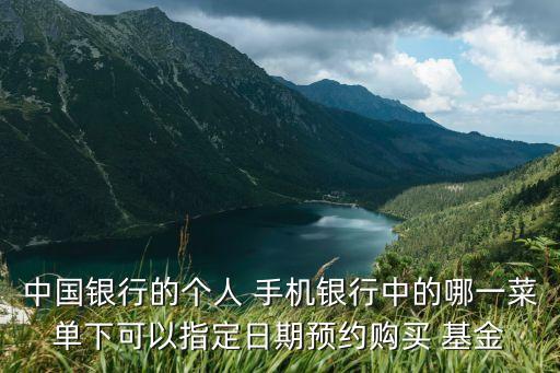 中國(guó)銀行的個(gè)人 手機(jī)銀行中的哪一菜單下可以指定日期預(yù)約購(gòu)買 基金
