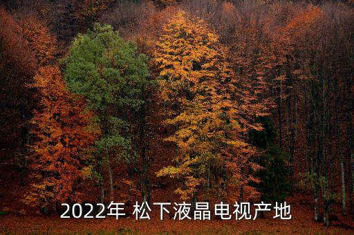 2022年 松下液晶電視產(chǎn)地