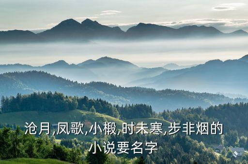 滄月,鳳歌,小椴,時(shí)未寒,步非煙的小說(shuō)要名字