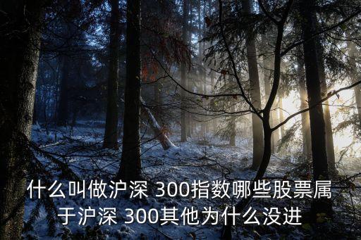 什么叫做滬深 300指數(shù)哪些股票屬于滬深 300其他為什么沒進(jìn)