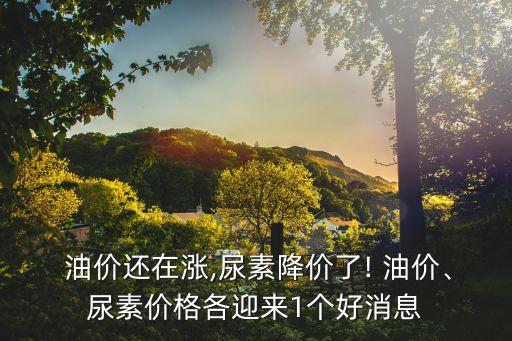  油價(jià)還在漲,尿素降價(jià)了! 油價(jià)、尿素價(jià)格各迎來(lái)1個(gè)好消息