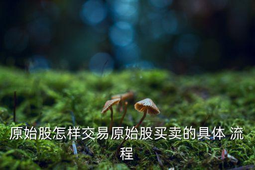 原始股怎樣交易原始股買(mǎi)賣的具體 流程