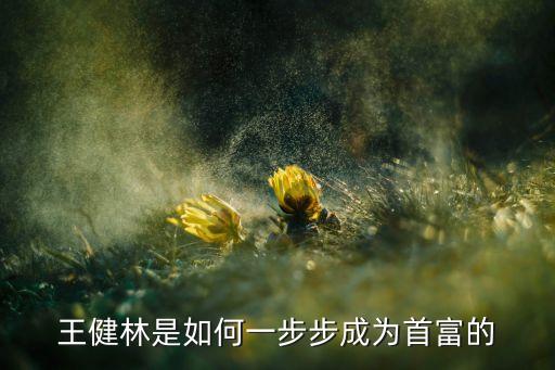 王健林是如何一步步成為首富的