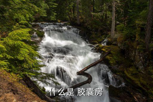 什么是 膠囊房