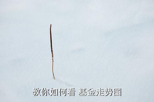 教你如何看 基金走勢(shì)圖