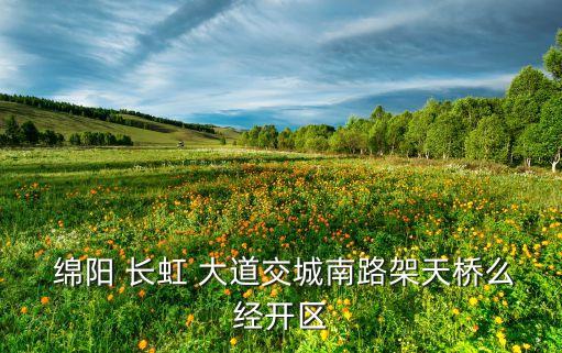 綿陽長虹大道證券公司買入評(píng)論
