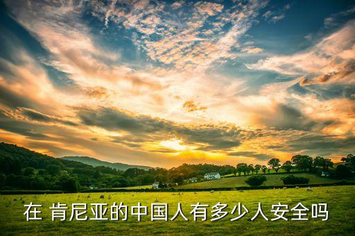 在 肯尼亞的中國人有多少人安全嗎