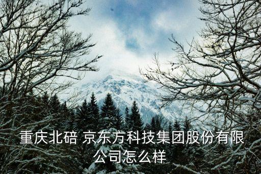  重慶北碚 京東方科技集團股份有限公司怎么樣