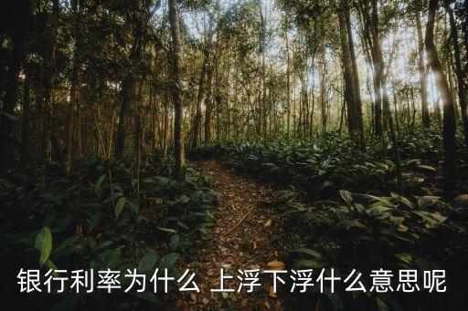 銀行利率為什么 上浮下浮什么意思呢
