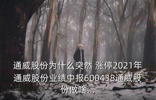 通威股份為什么突然 漲停2021年通威股份業(yè)績(jī)中報(bào)600438通威股份做啥...