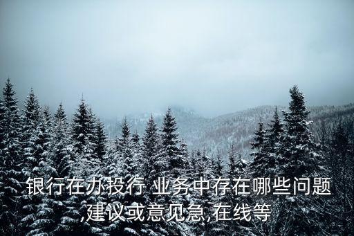  銀行在辦投行 業(yè)務中存在哪些問題,建議或意見急,在線等