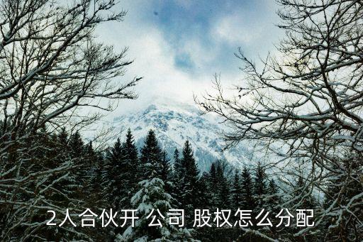 2人合伙開 公司 股權怎么分配