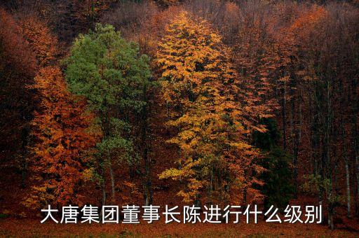 中國大唐湖南分公司總經(jīng)理,大唐集團(tuán)內(nèi)蒙古分公司總經(jīng)理