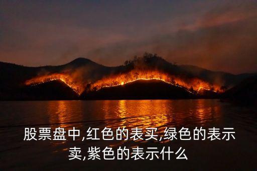  股票盤中,紅色的表買,綠色的表示賣,紫色的表示什么