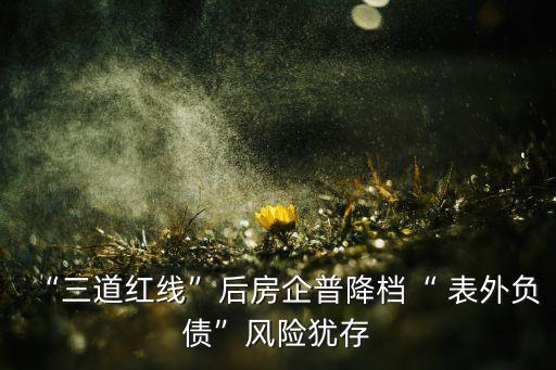 “三道紅線”后房企普降檔“ 表外負(fù)債”風(fēng)險(xiǎn)猶存