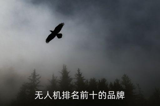 無人機(jī)排名前十的品牌