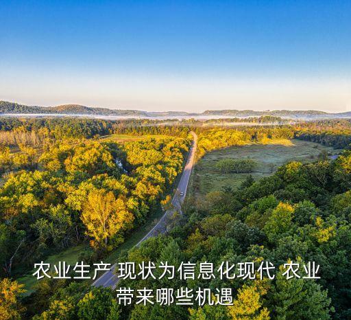  農(nóng)業(yè)生產(chǎn) 現(xiàn)狀為信息化現(xiàn)代 農(nóng)業(yè)帶來(lái)哪些機(jī)遇