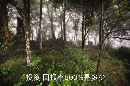 投資 回報(bào)率500%是多少