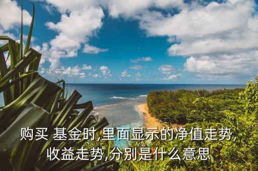 購(gòu)買 基金時(shí),里面顯示的凈值走勢(shì),收益走勢(shì),分別是什么意思