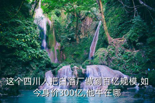 郎酒集團(tuán)現(xiàn)任董事長,郎酒董事長汪俊林